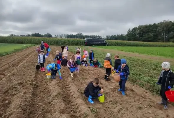 Przedszkolaki z Czyżewa na wykopkach – jesienna lekcja natury i tradycji