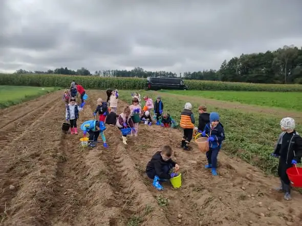 Przedszkolaki z Czyżewa na wykopkach – jesienna lekcja natury i tradycji