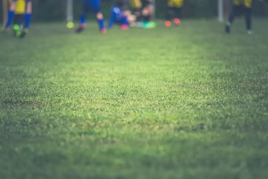 Młodzieżowe drużyny Orlik i Żak rozegrały sparingi z GKS Andrzejewo i Olimpią Zambrów